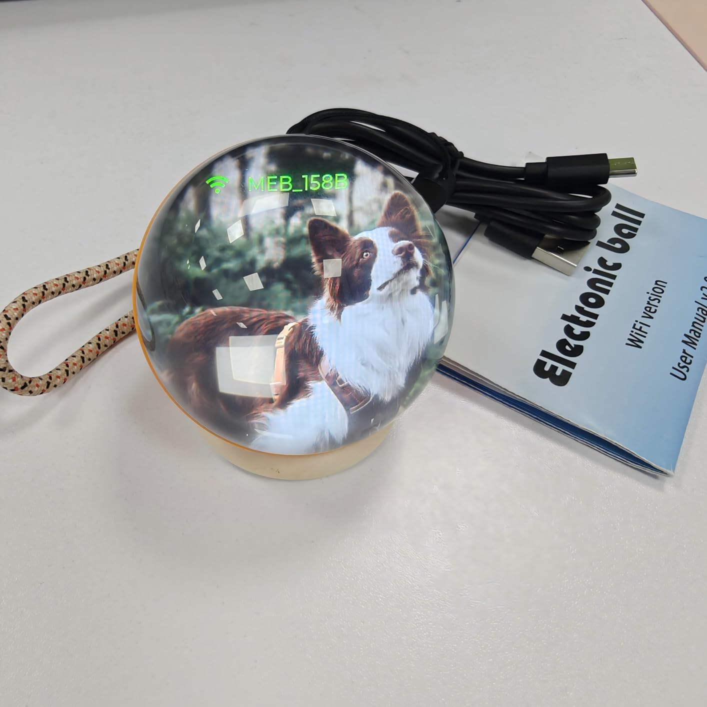 Vitalora™ Memory Orb